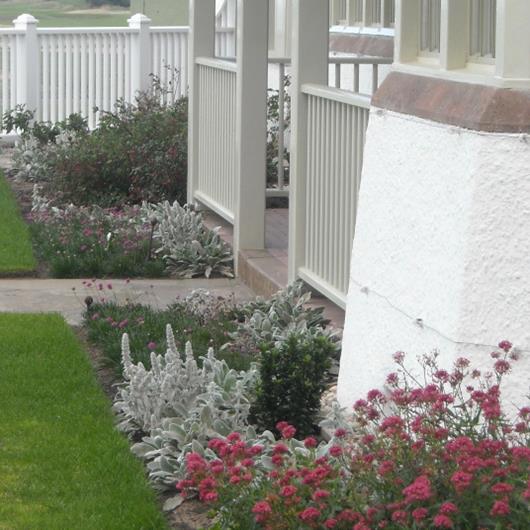 Established plant border outside an entrance to a house.