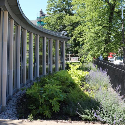 Grounds of St Mary's Cathedral