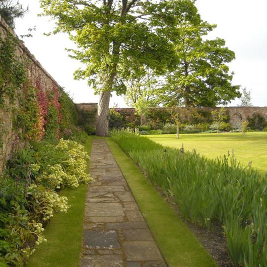 Walled garden with path leading to large tree