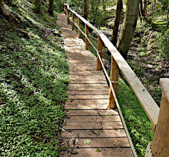 Slopeing walkway with handrail following trea-line